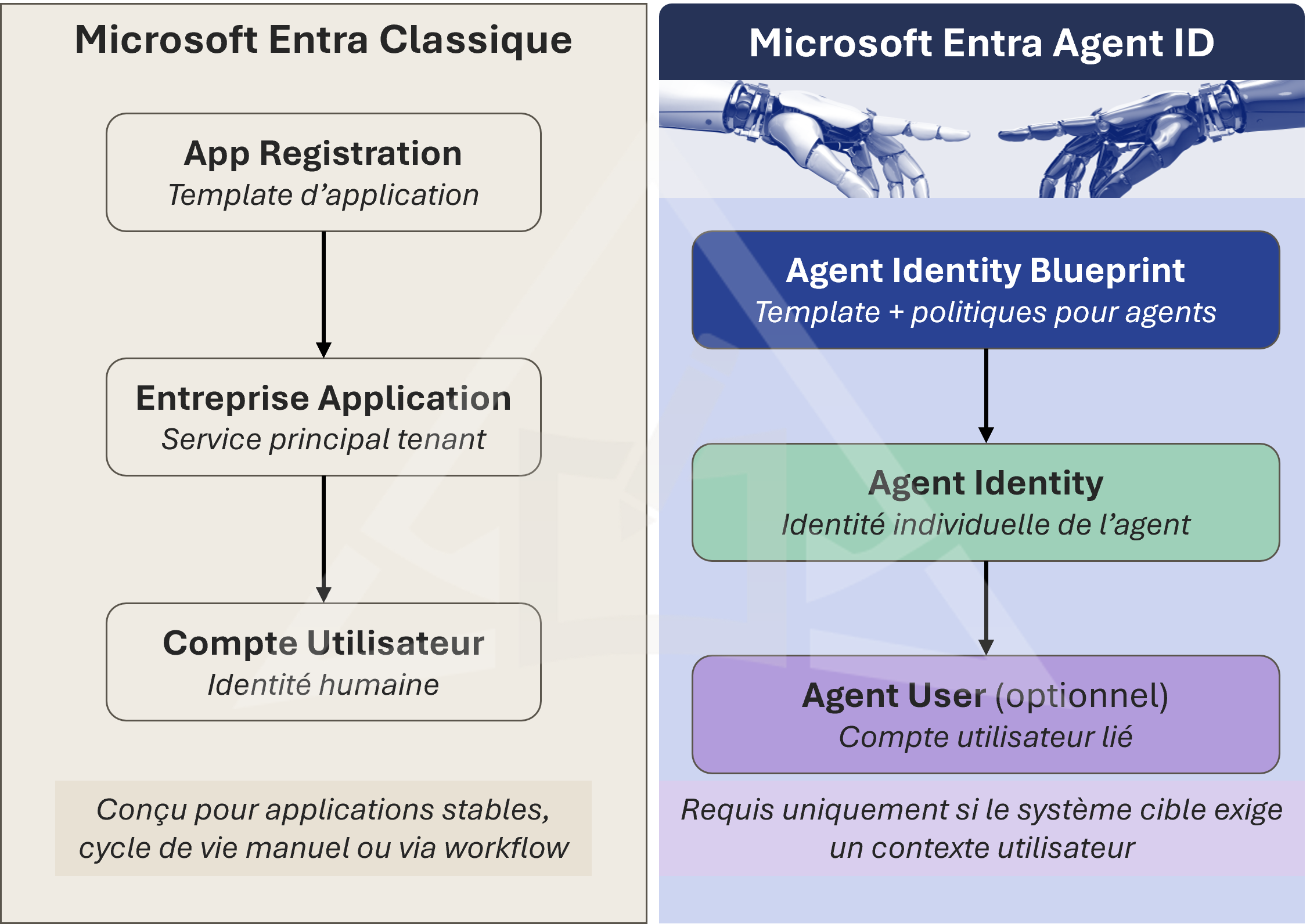 SCHEMA 2